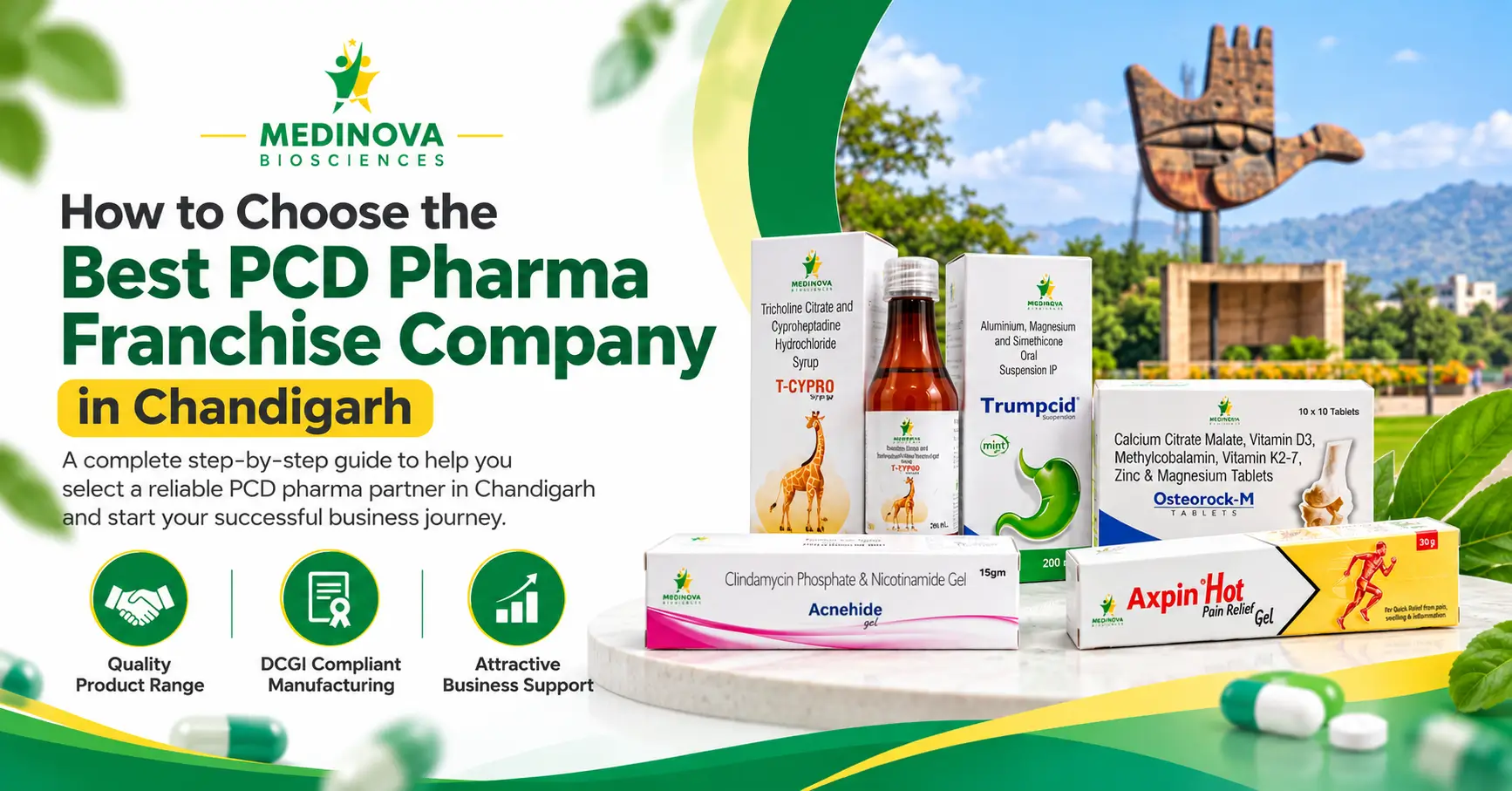 How to Choose the Best PCD Pharma Franchise Company in Chandigarh